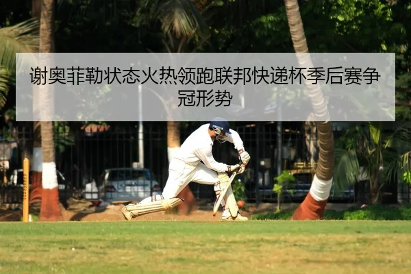 谢奥菲勒状态火热领跑联邦快递杯季后赛争冠形势